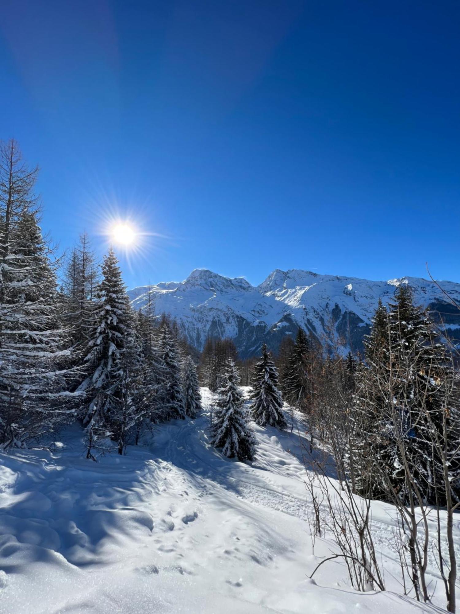 Chalet Altus Сент-Фоа-Тарантез Екстериор снимка